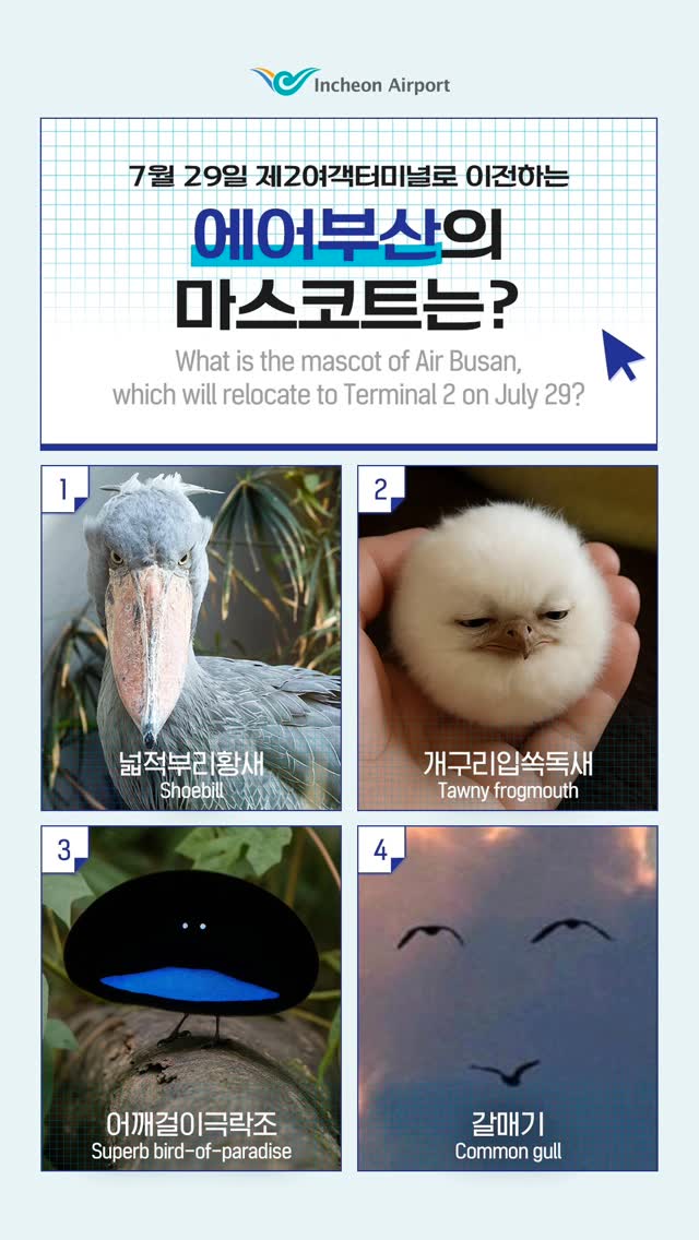 <h5>Solution</h5>
- Developing strategic messages for Incheon Airport as Korea’s representative airport and effectively delivering them to the public through social media<br />
- Implementing integrated marketing communications targeting citizens and travelers to enhance brand awareness and foster favorable public sentiment<br />