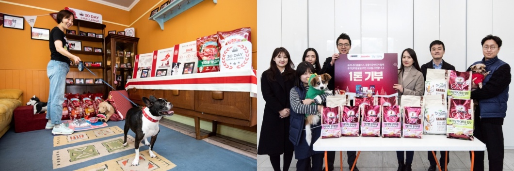 <h5>Results</h5>
- The brand’s products were continuously exposed on a website for pet lovers (A channel of Naver) and the content exposure was effective, while optimizing content exposure on search engines<br />
- The brand earned consumer trust and a professional brand image by delivering informative content of the whole brand and knowledge of pets<br />
- Media channels were diversified for brand exposure to consumers and coverage was expanded through the continuous development of marketing programs
